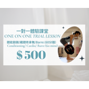 一對一體能鍛鍊/纖體修身舞/Barre私人課試堂