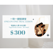 一對一瑜伽私人課試堂